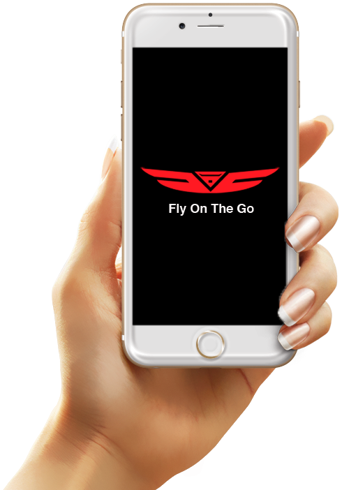 Fly On The Go